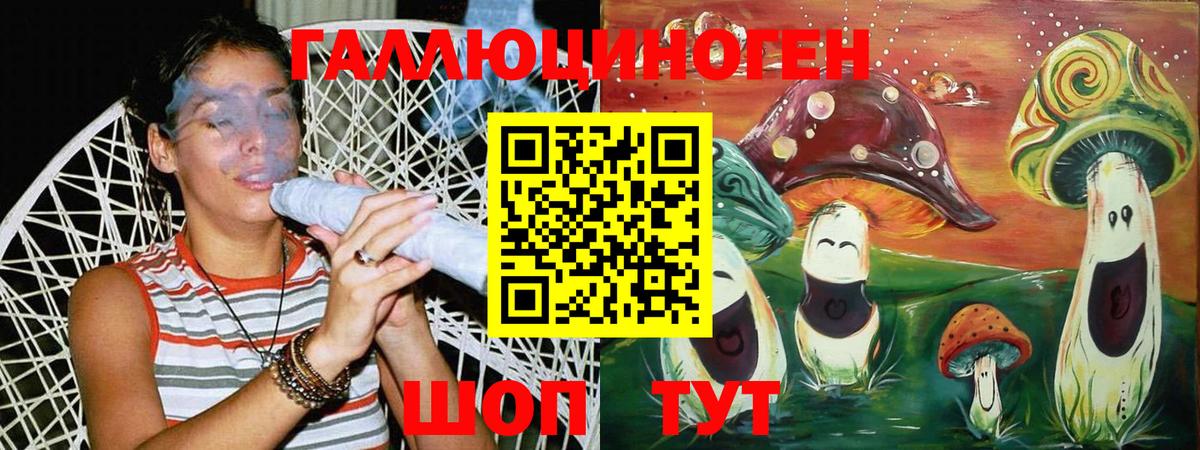 Галлюциногенные грибы Psilocybine cubensis Прохладный